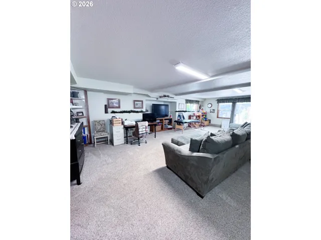 Family Room-Lower