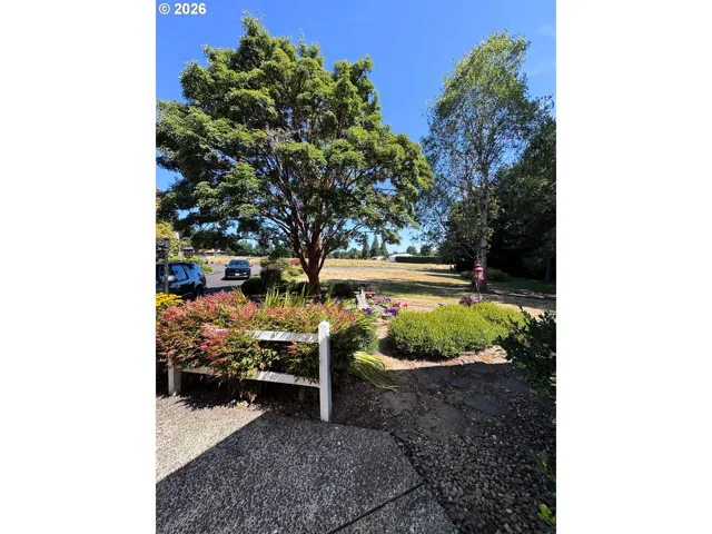 Front Yard