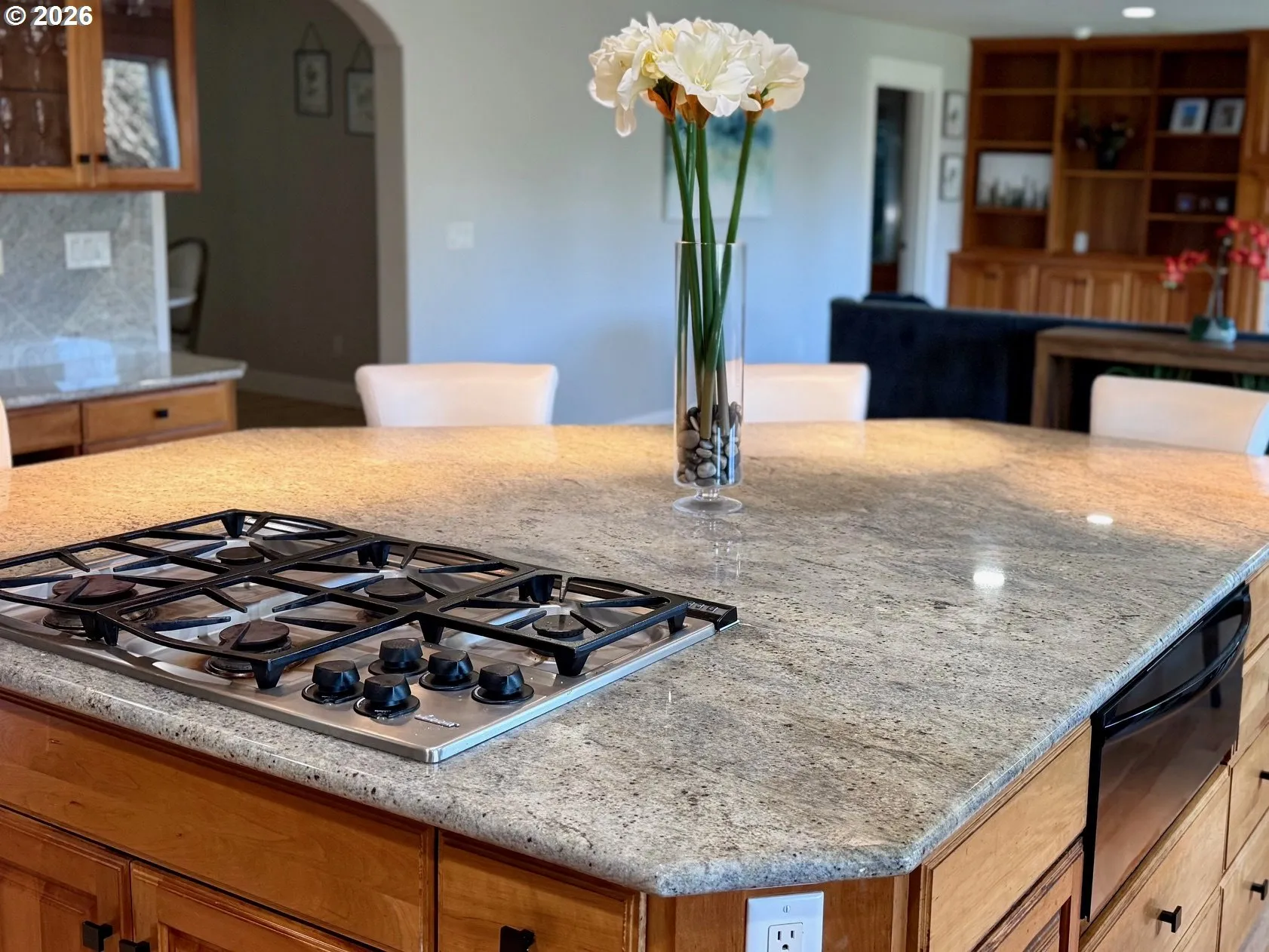 Kitchen-Cooking Island