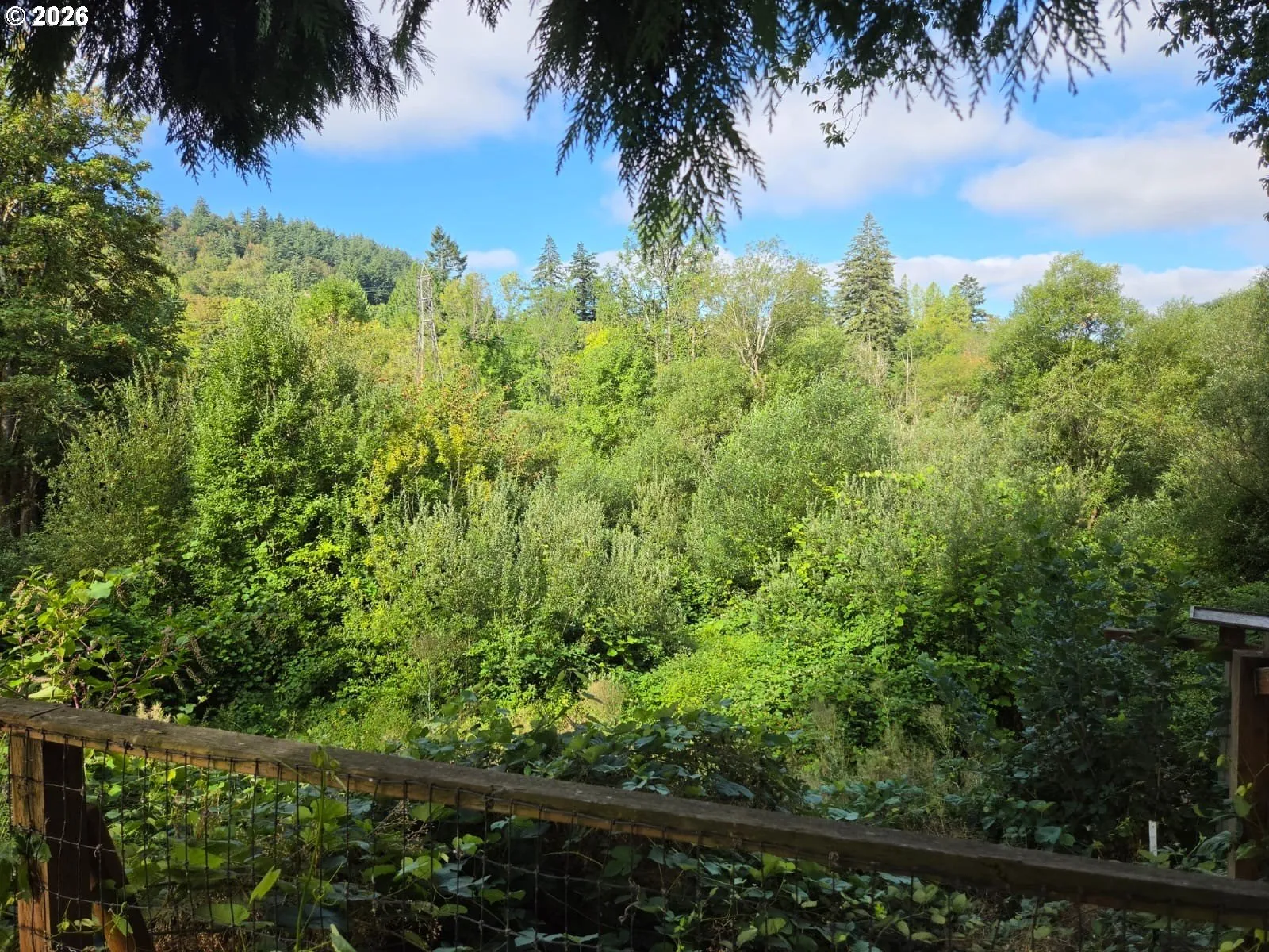 Backyard-View From