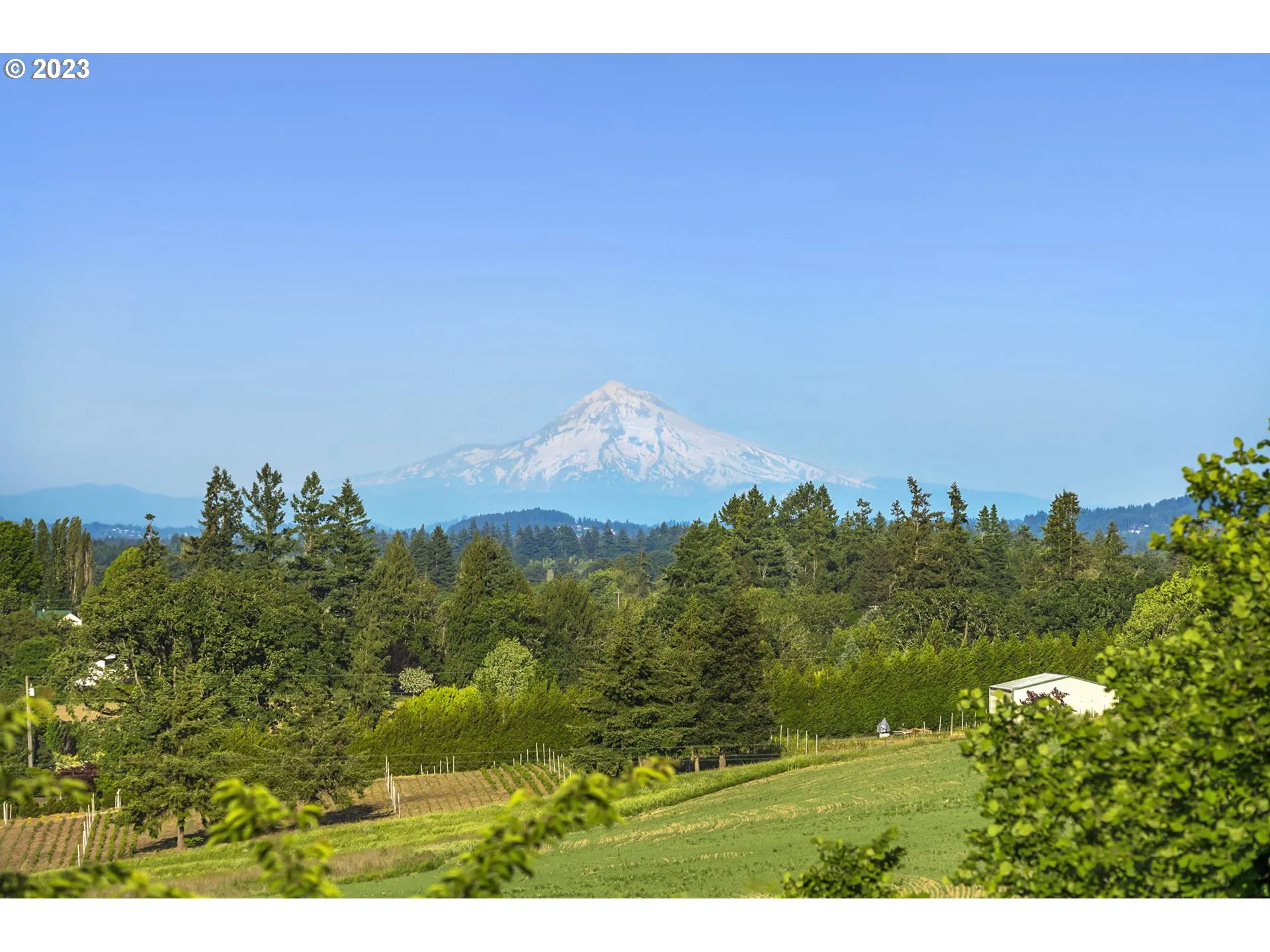 View-Mountain