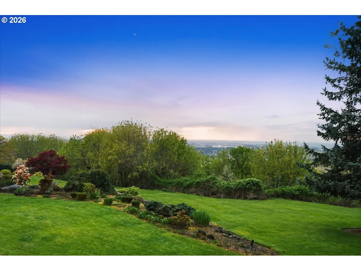 Backyard-View From