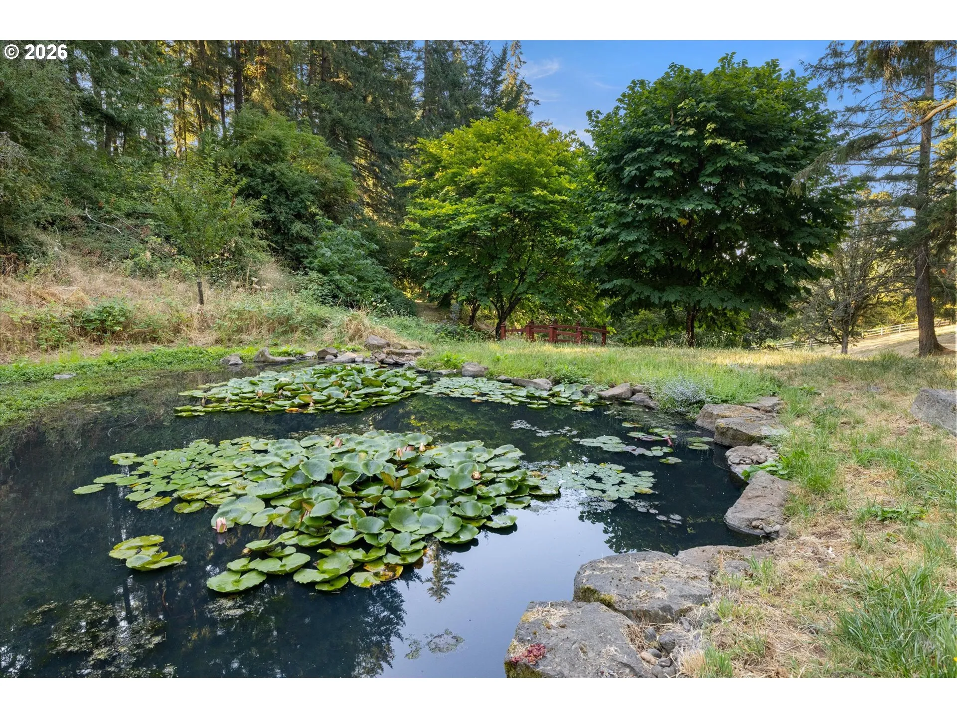 Pond