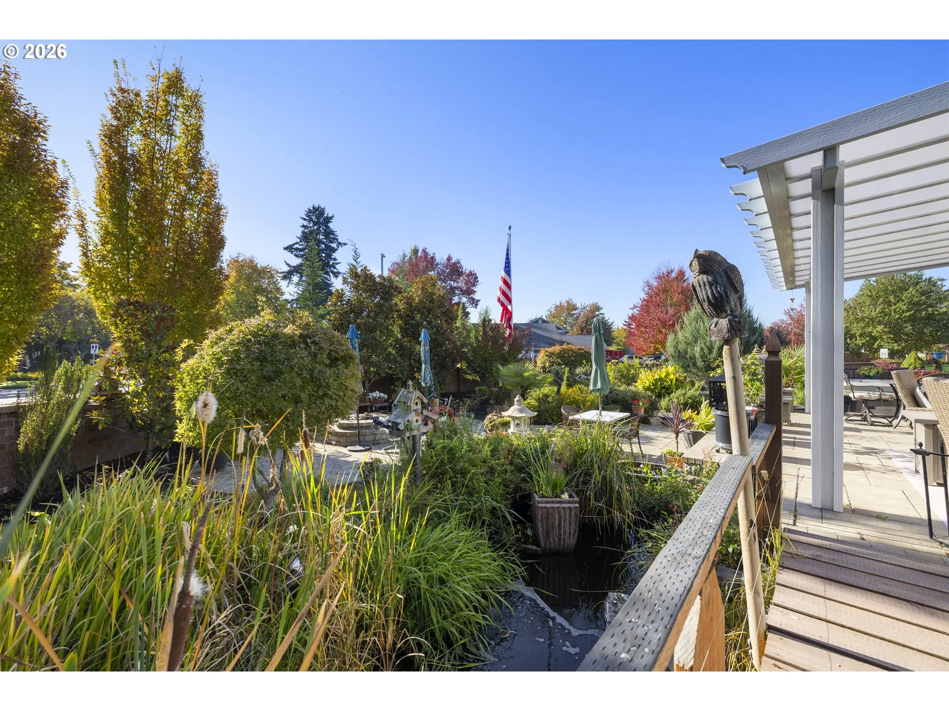 Backyard-View From