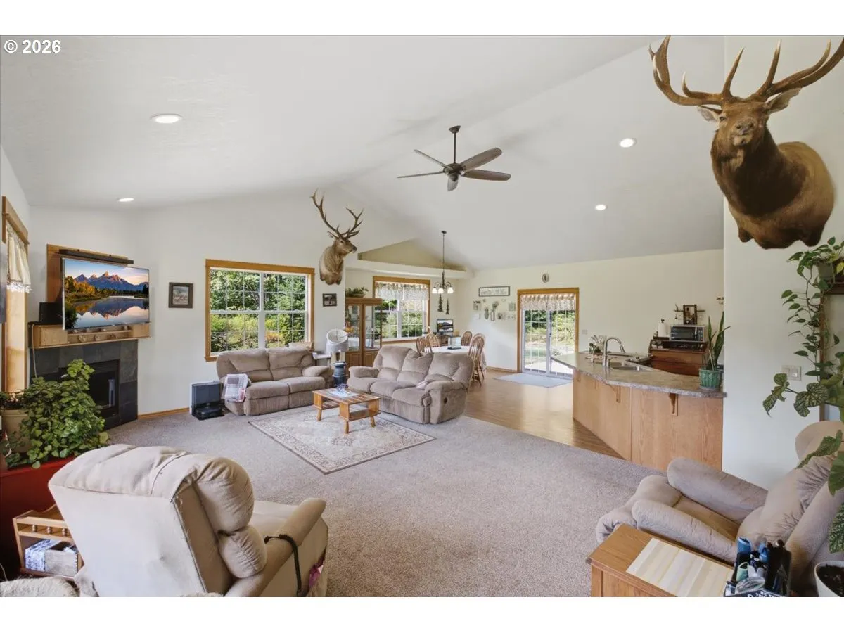 Living Room-Ceiling Fan