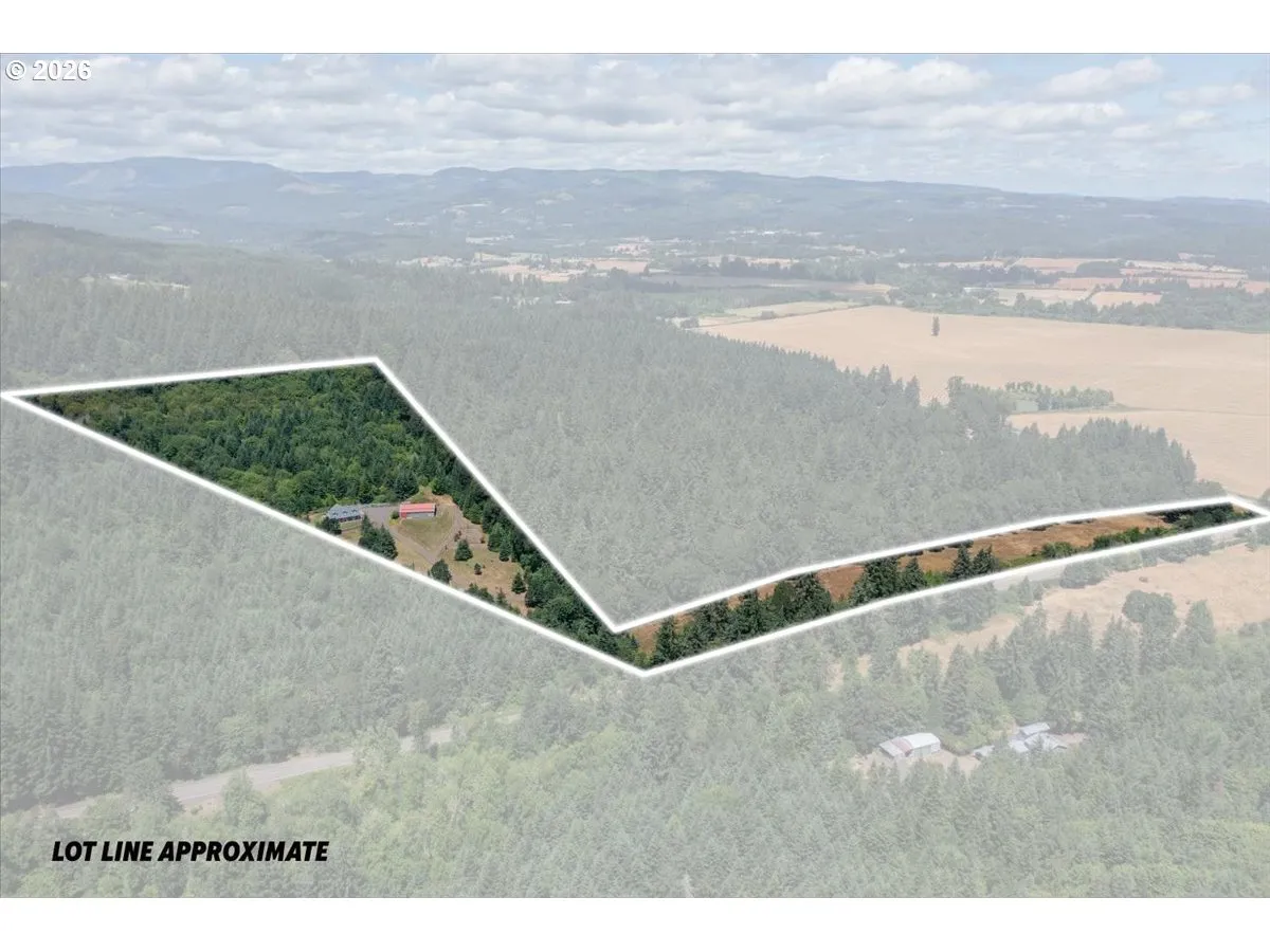 Approximate Property Lines-Wooded / Acreage