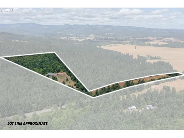 Approximate Property Lines-Wooded / Acreage