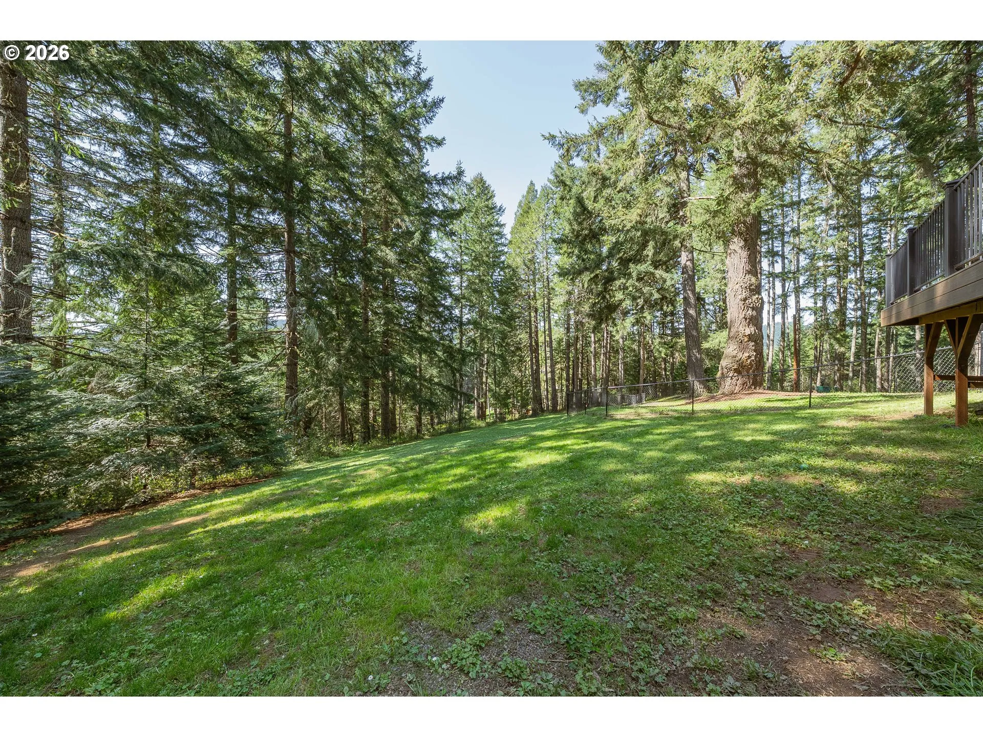 Backyard-Fenced