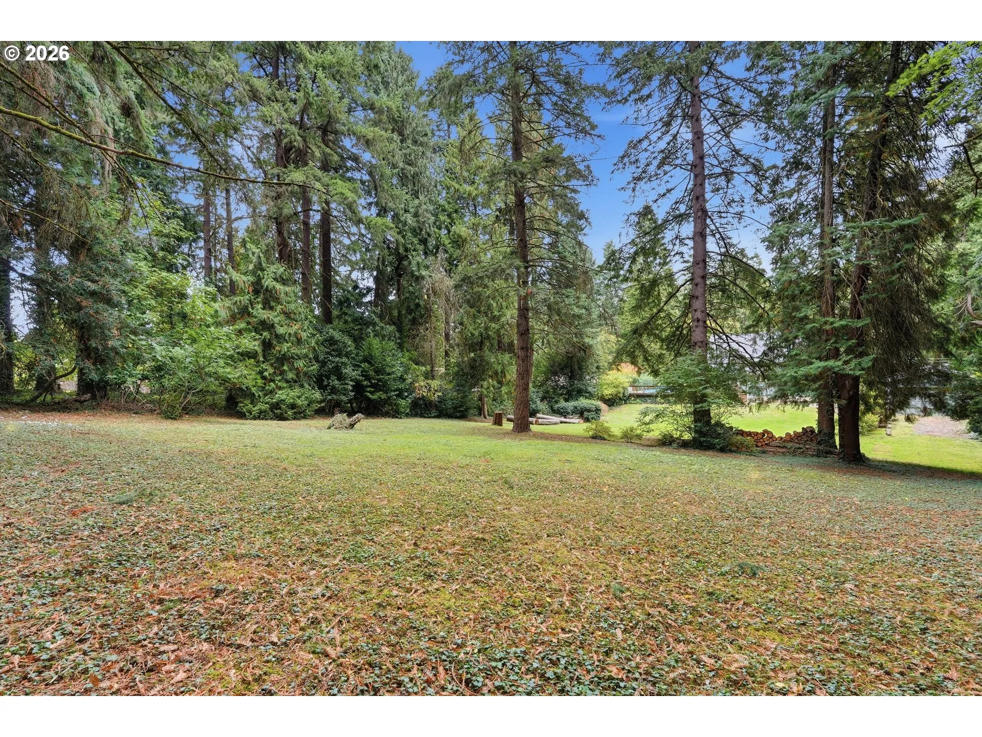 Backyard-View From