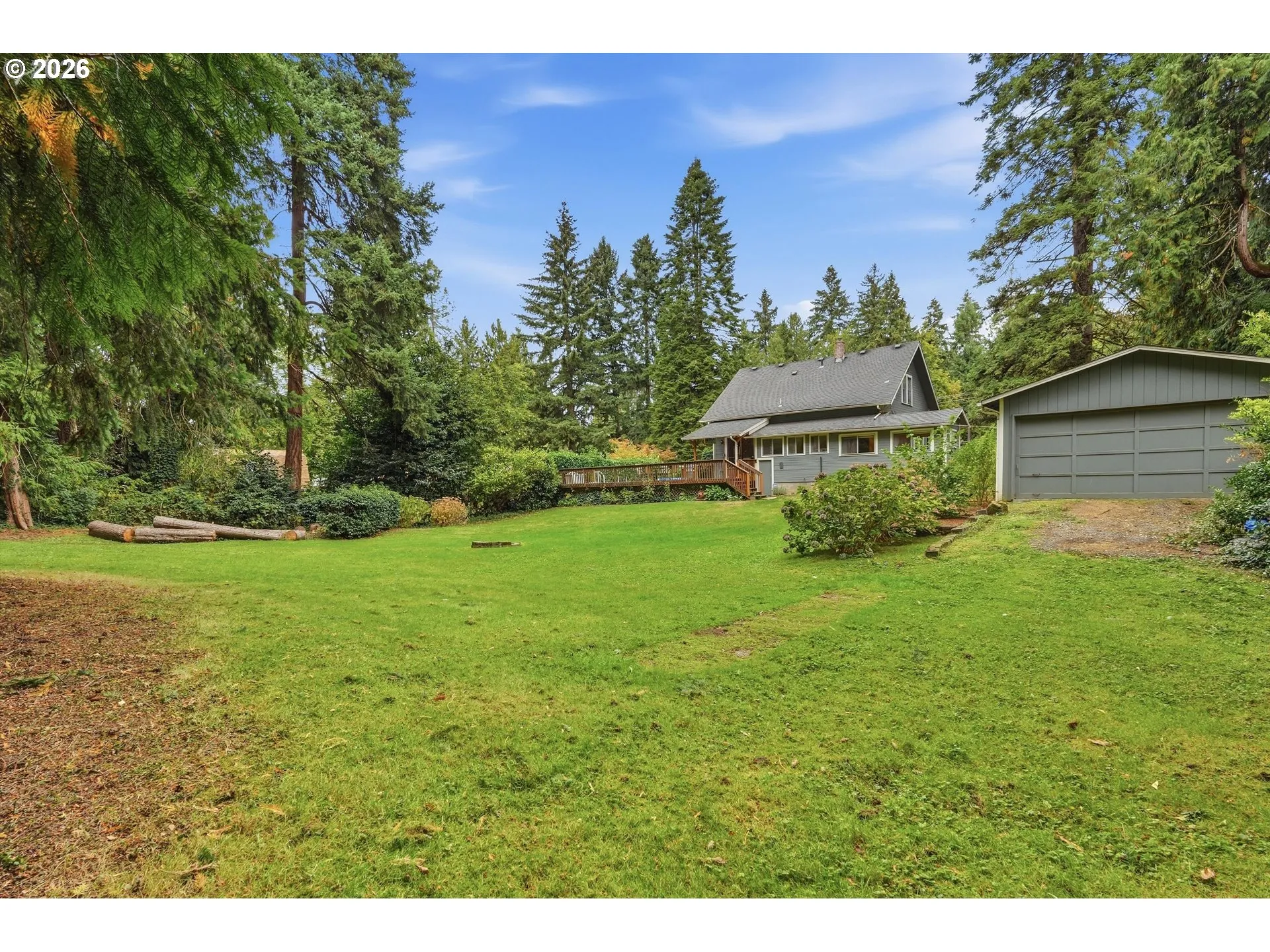 Backyard-View From