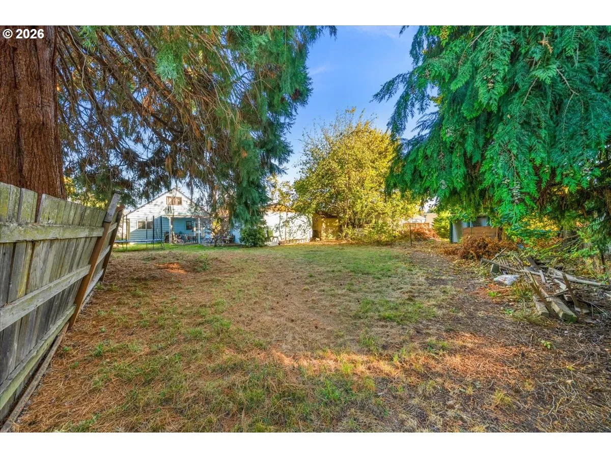 Backyard-View From