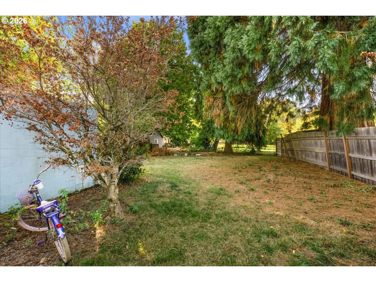 Backyard-Fenced