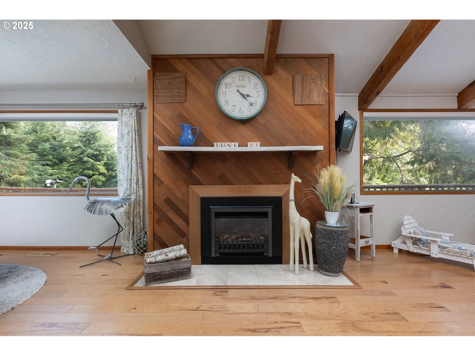 Fireplace Gas