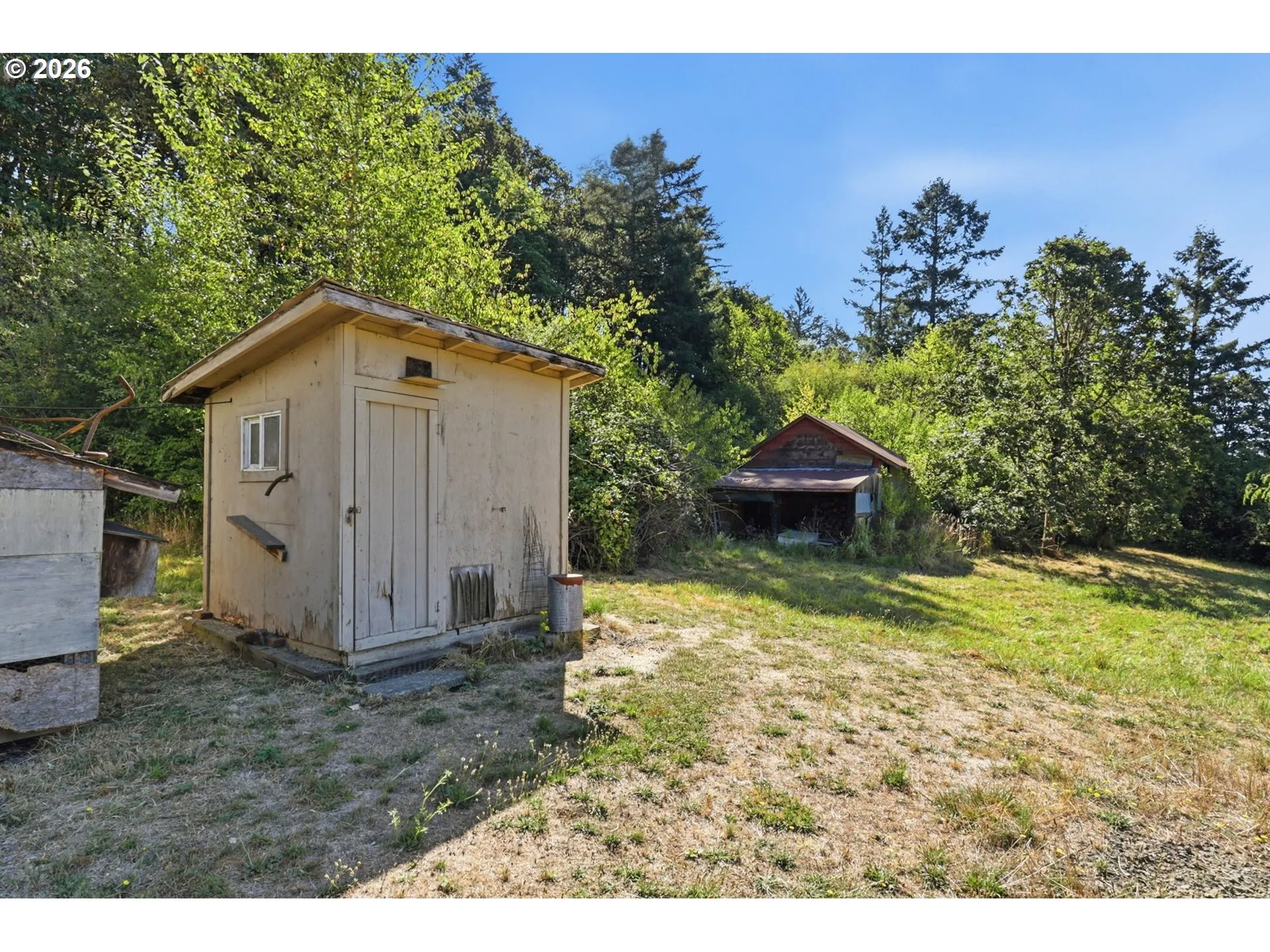 Shed