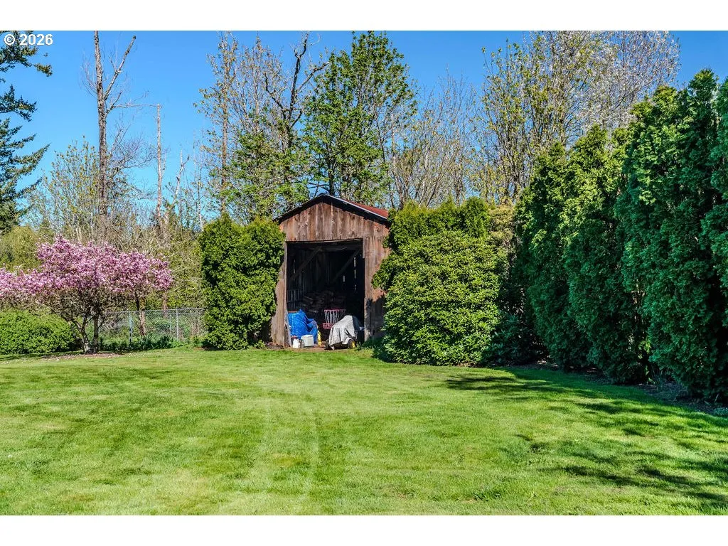 Front Yard