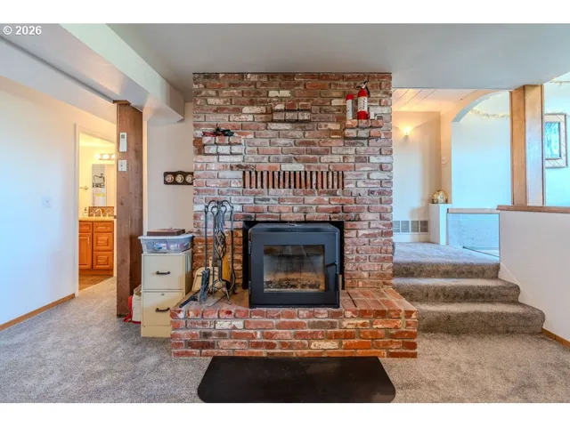 Fireplace Wood Burning Stove/Insert-Certified