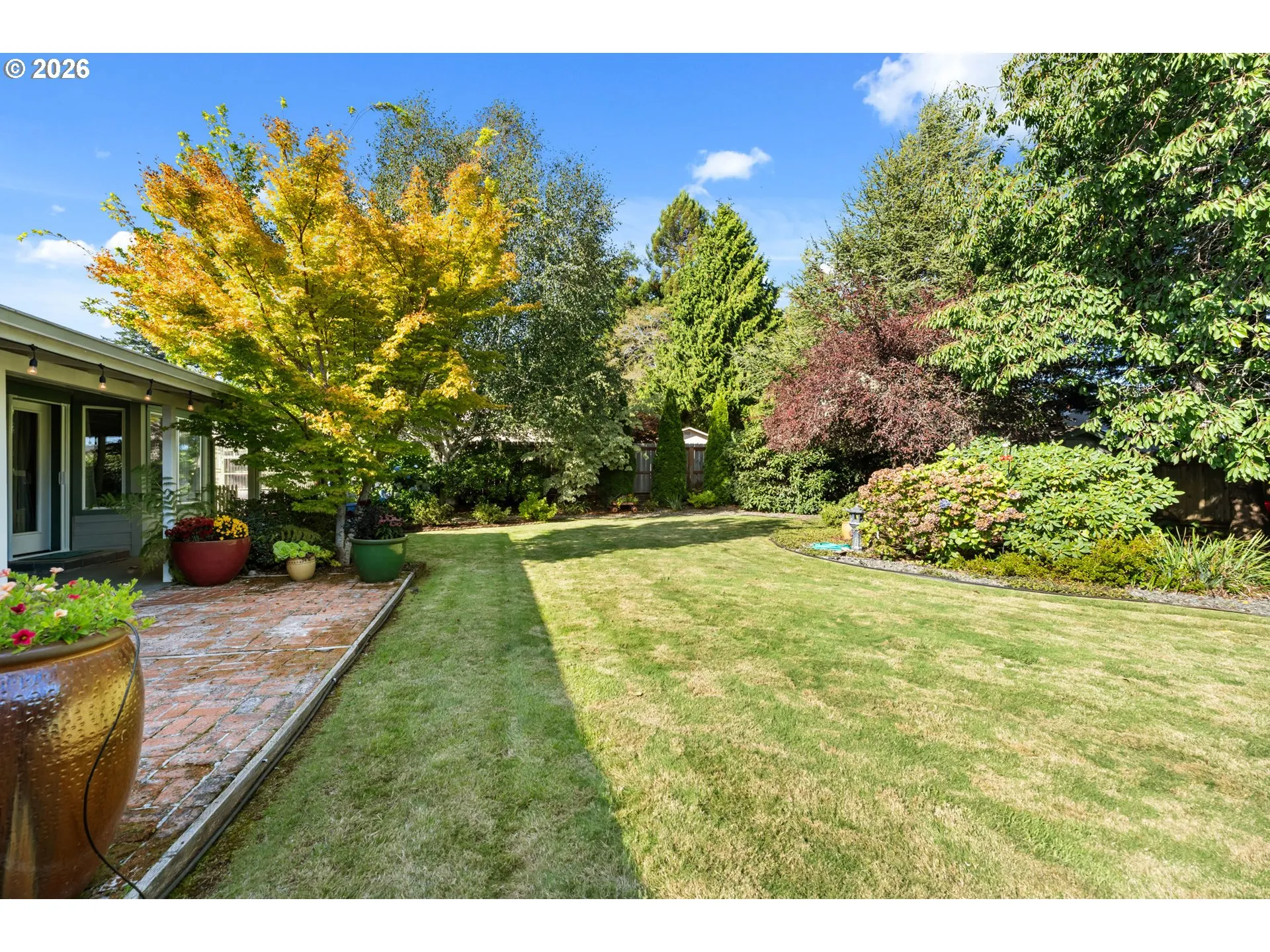 Backyard-Fenced