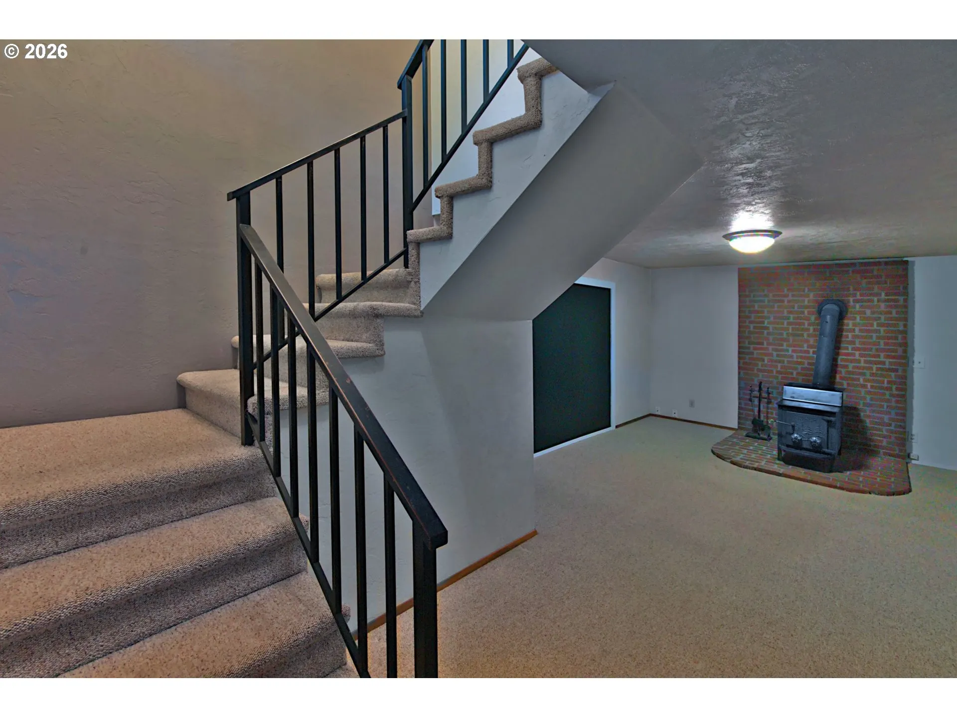 Fireplace Wood Burning Stove/Insert