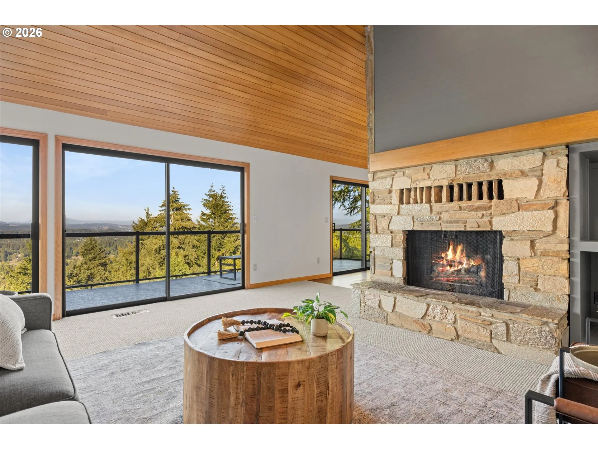 Living Room-Fireplace