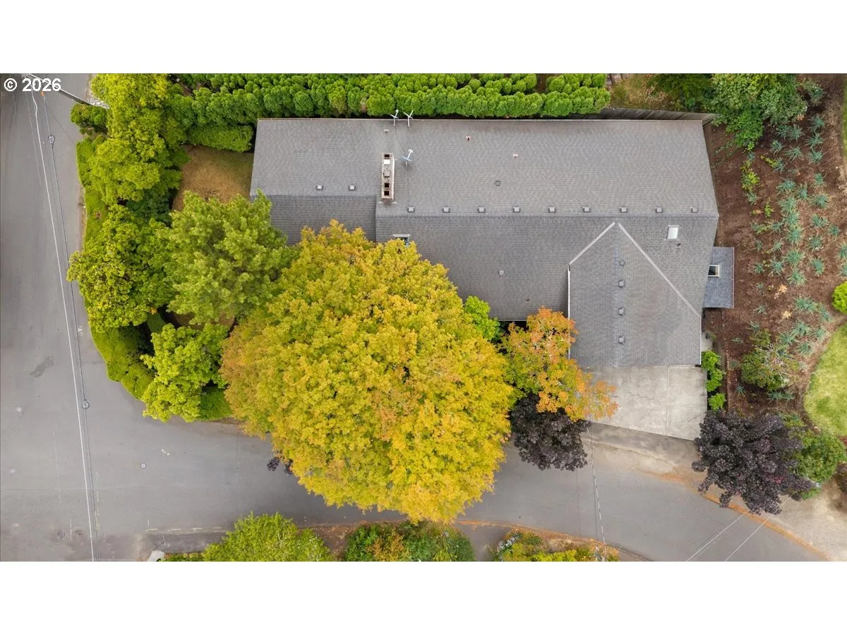 Drone View/UAV