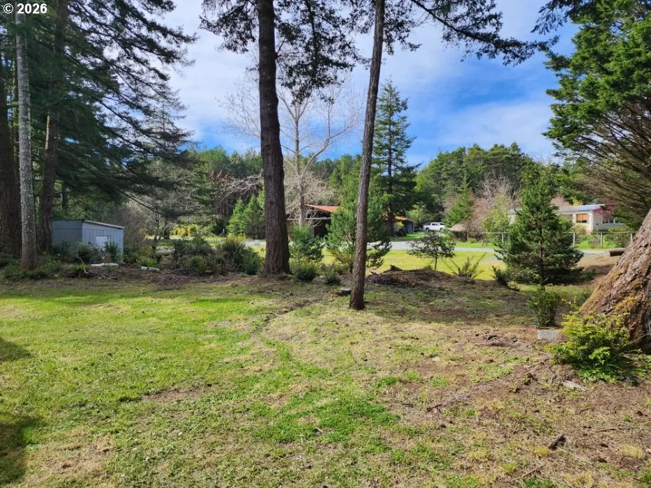 Front Yard