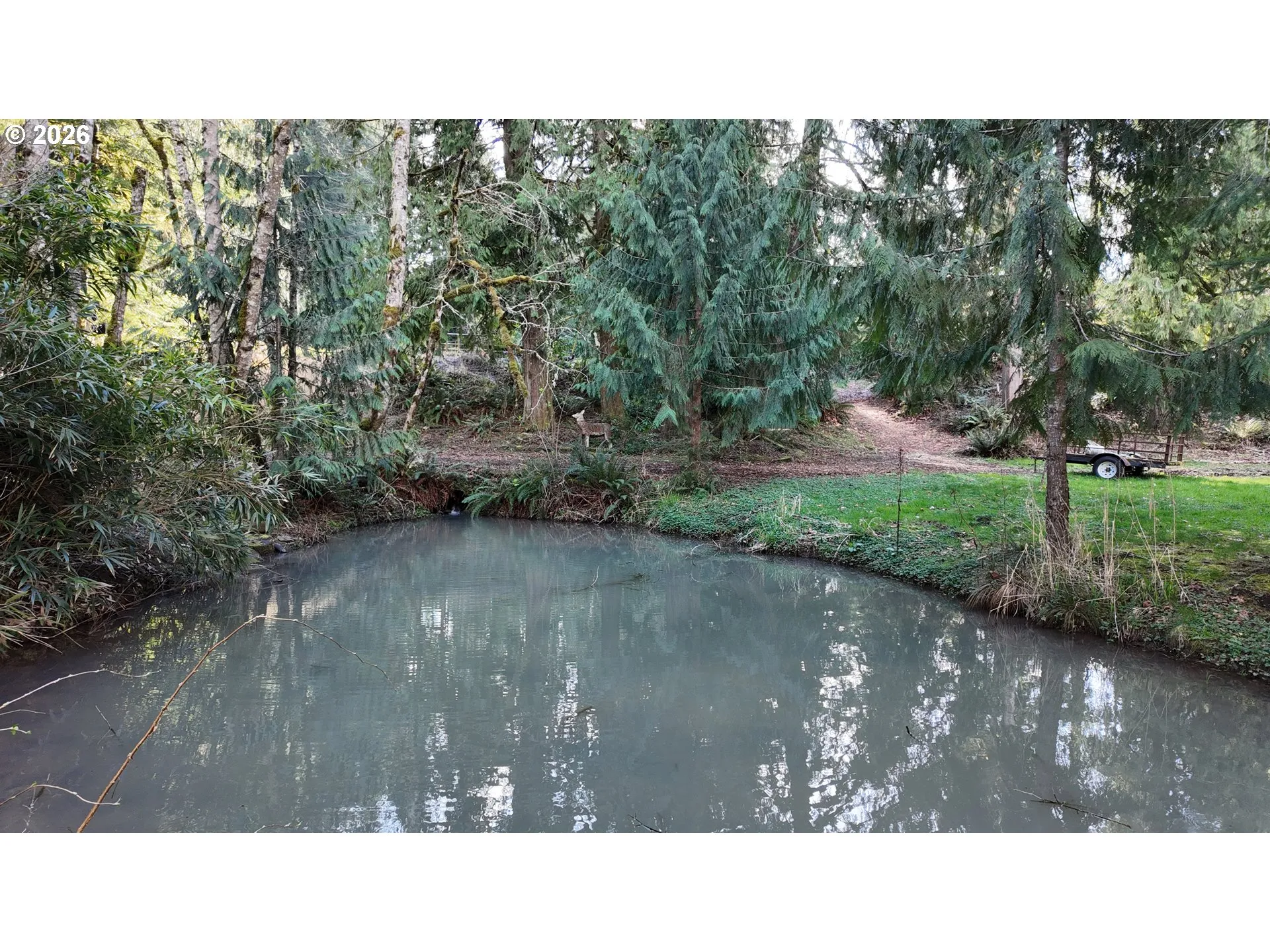 Pond