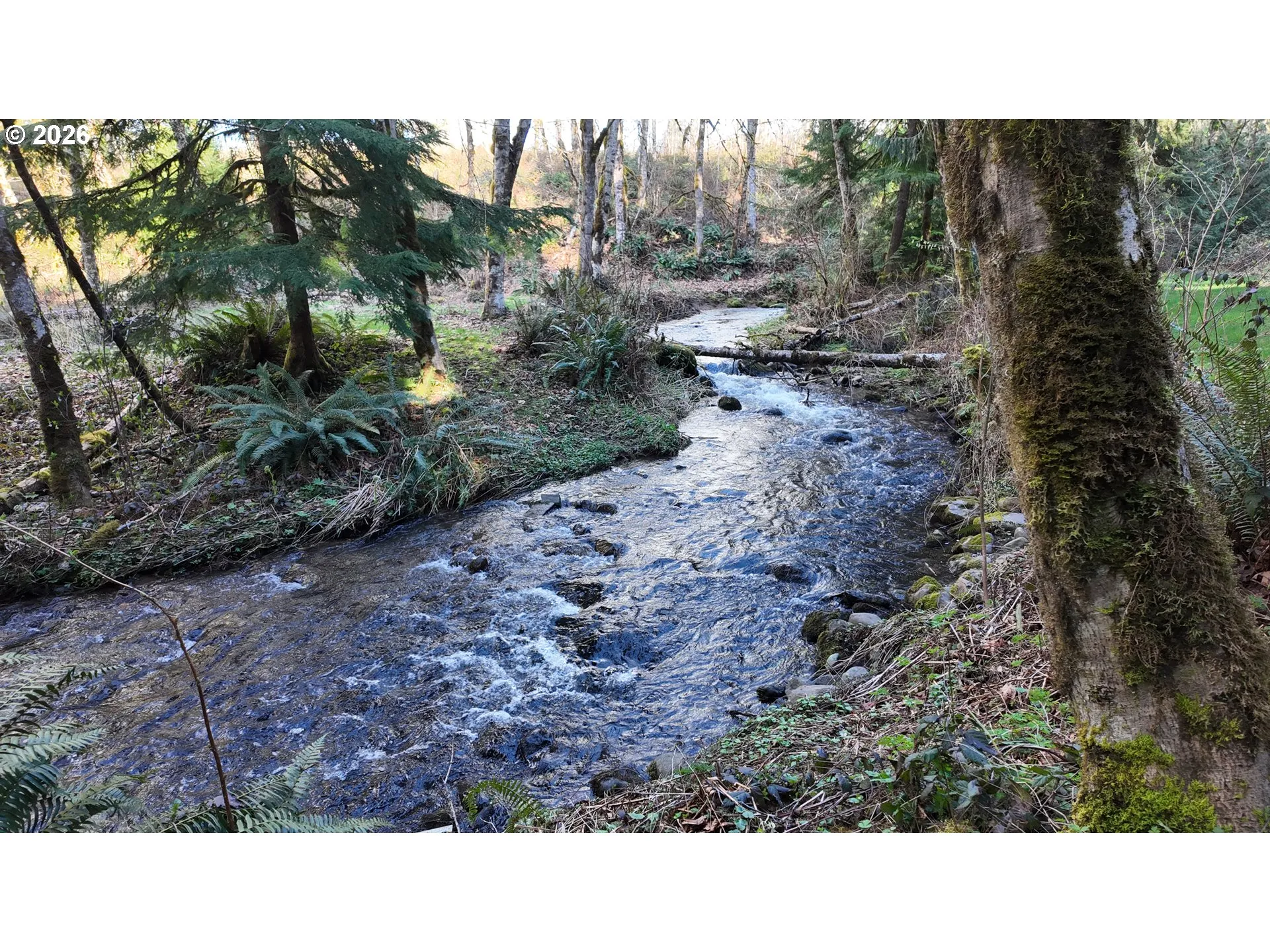 Creek-Year Round