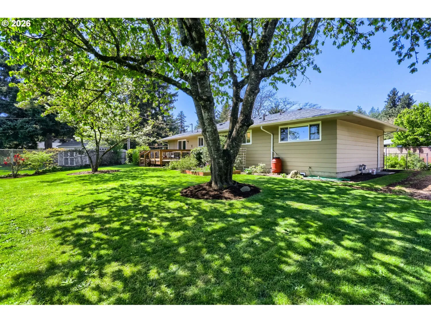 Backyard-Fenced