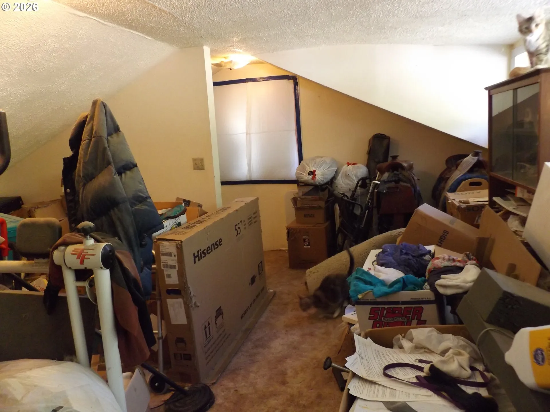 Loft