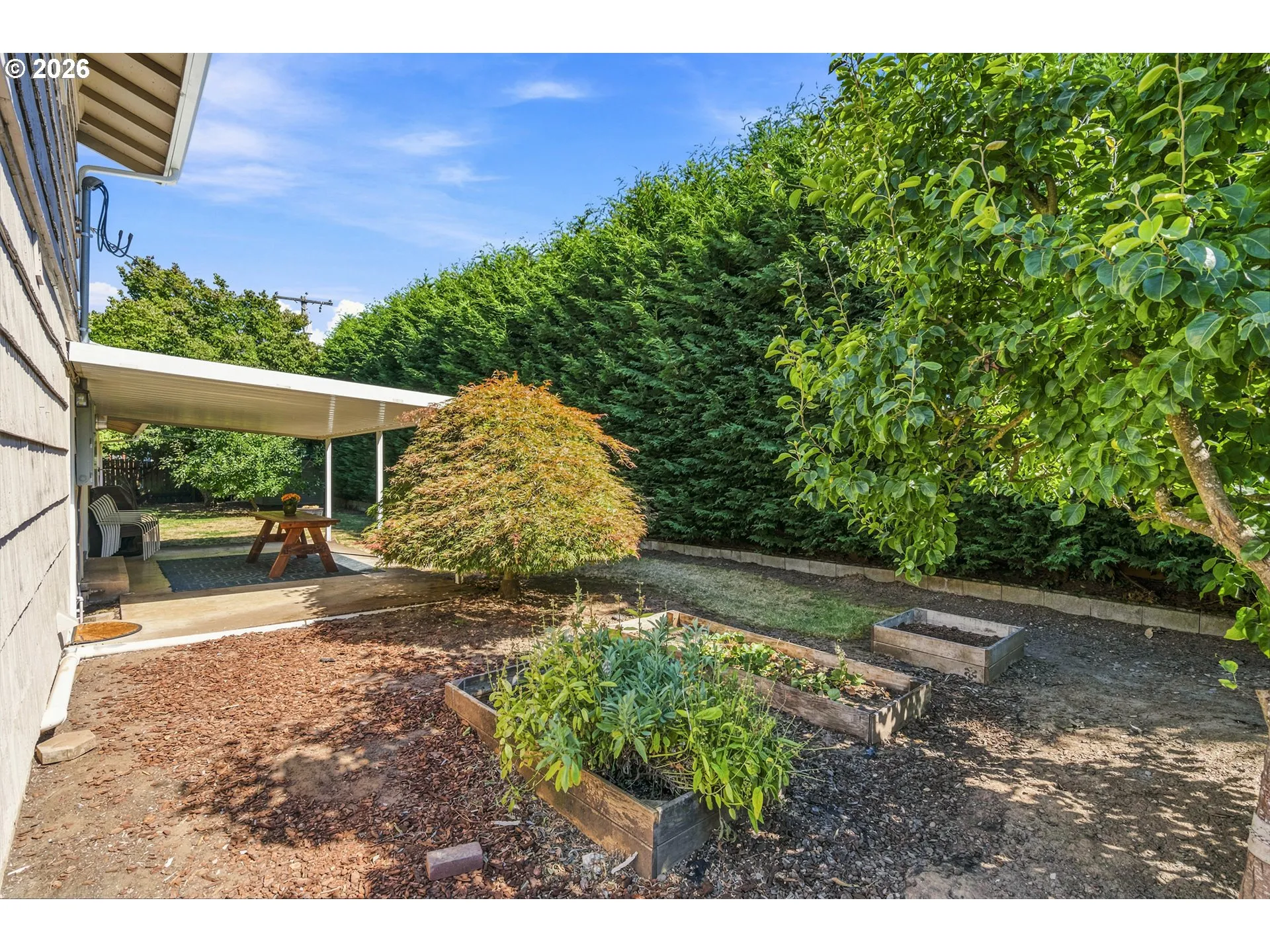 Backyard-Fenced