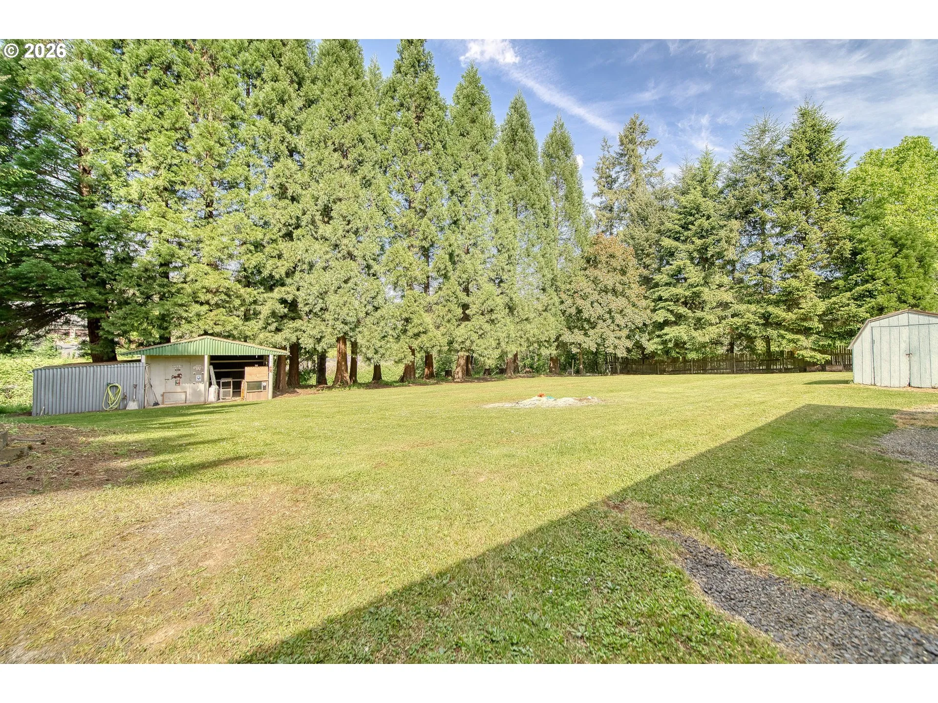 Backyard-View From