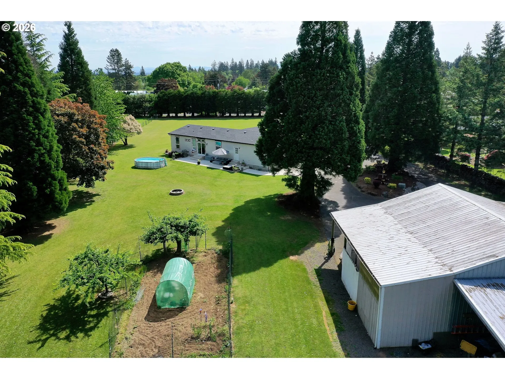 Backyard-View From
