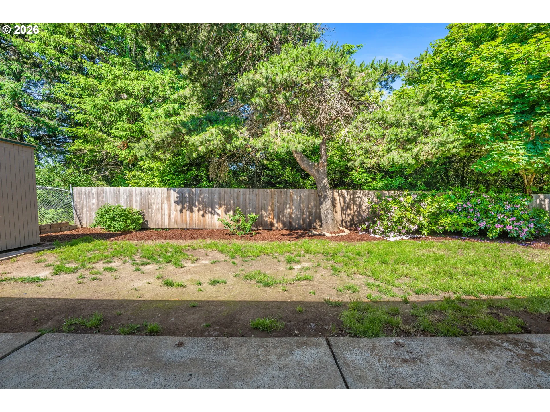 Backyard-Fenced