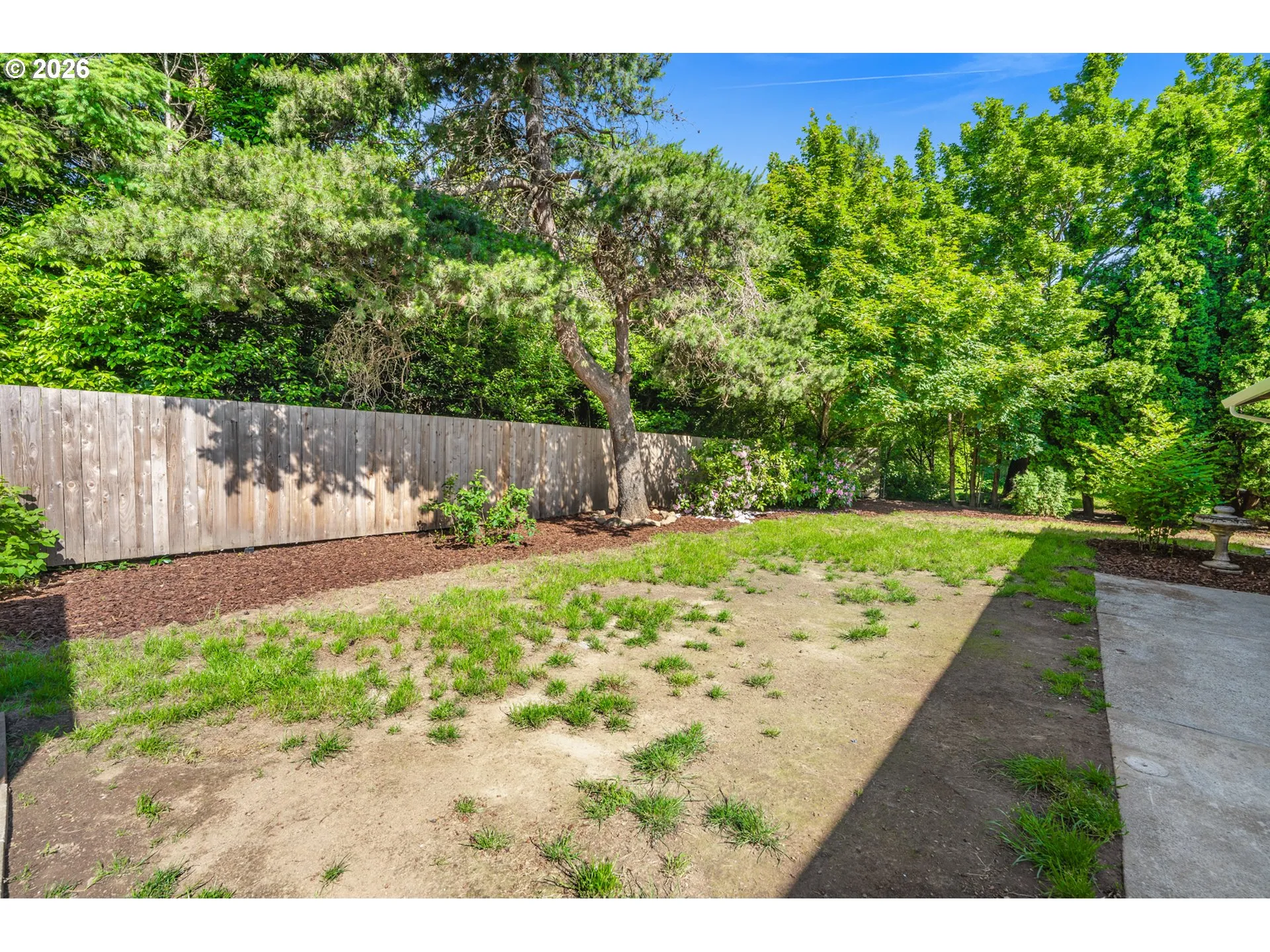 Backyard-Fenced