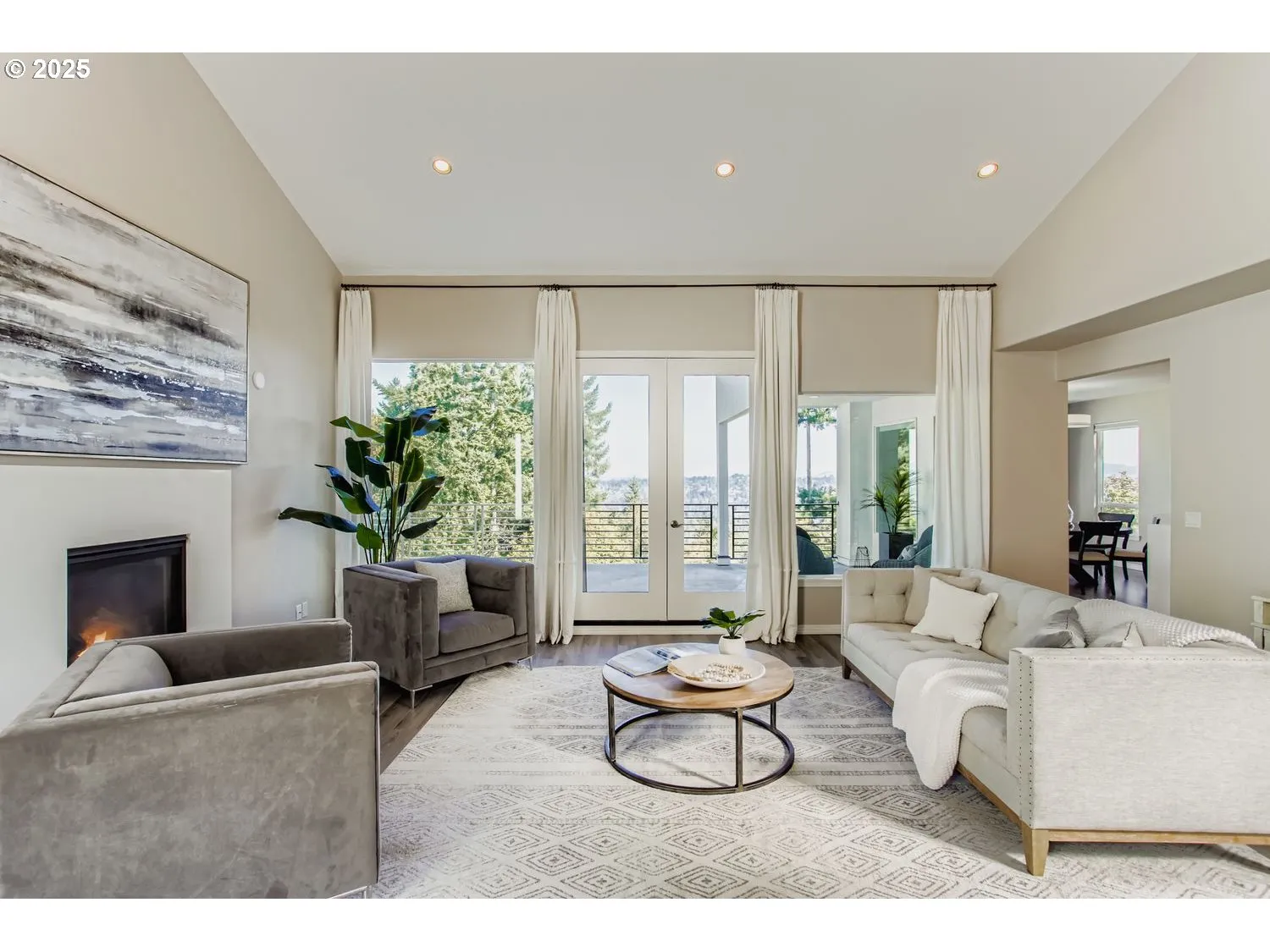 Living Room/Entrance