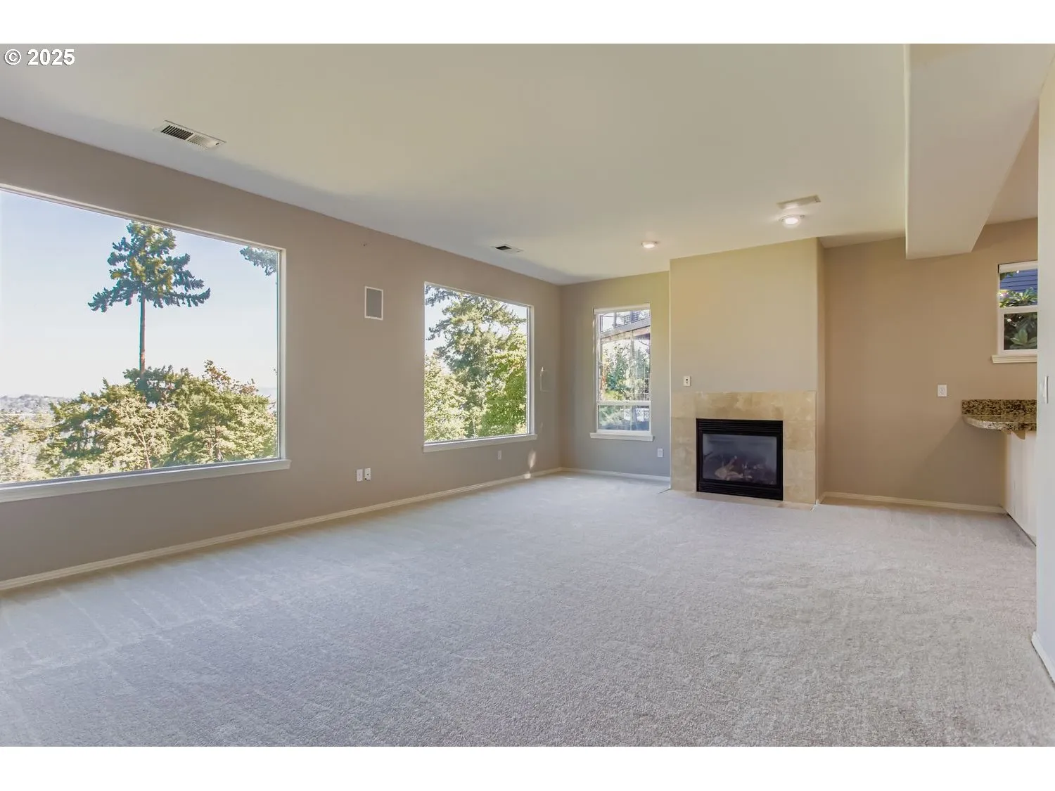Family Room-Lower
