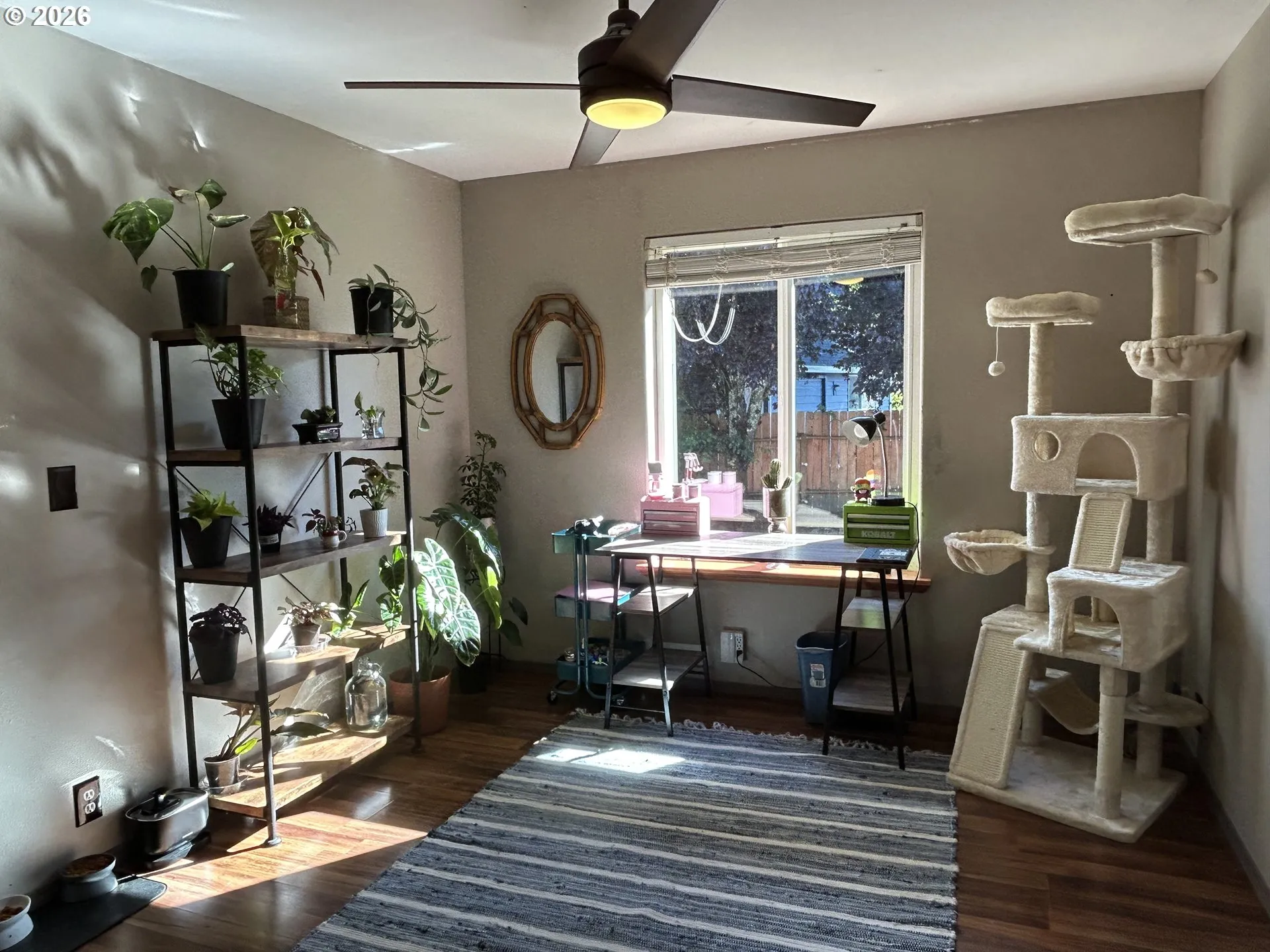 Den/Office-Ceiling Fan