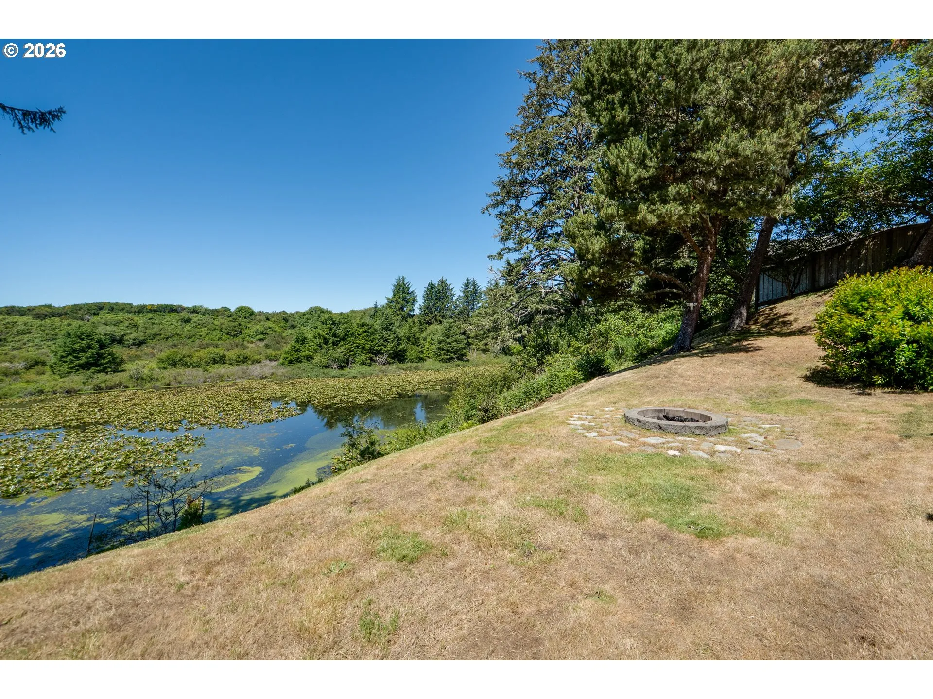 Backyard-View From