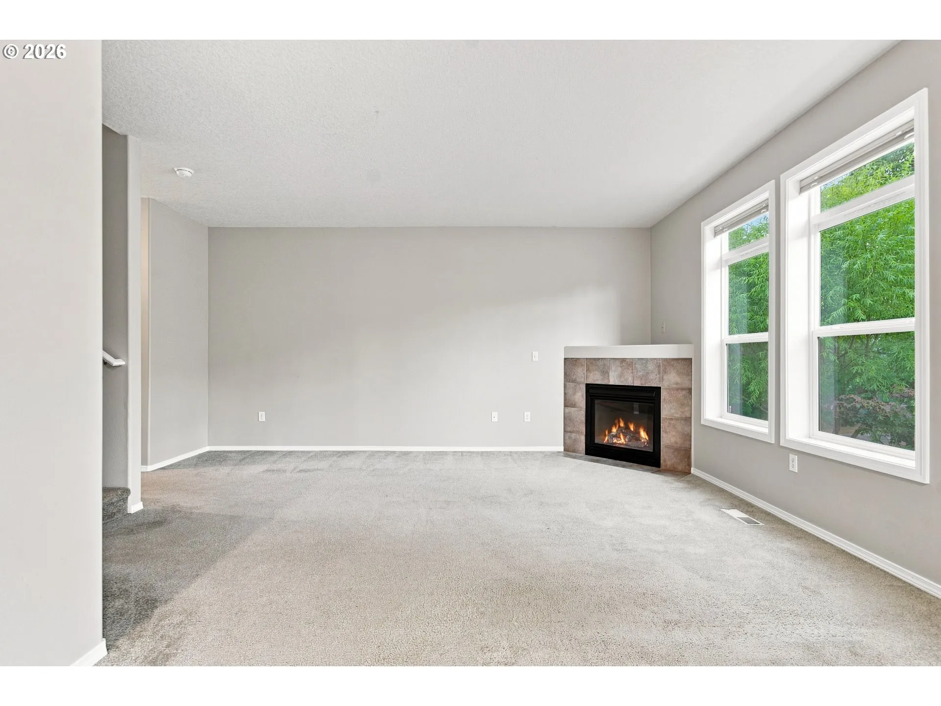 Fireplace Gas