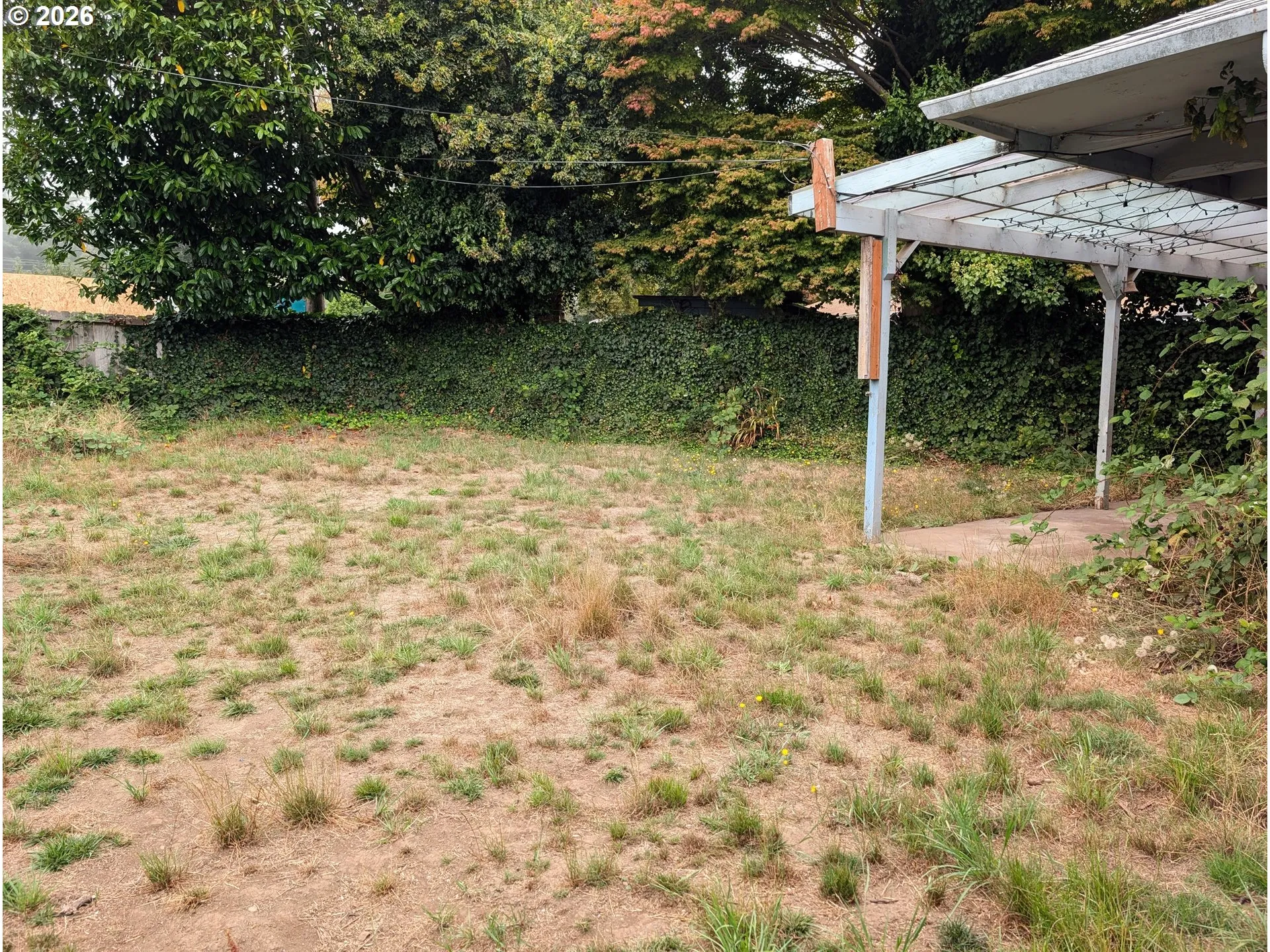 Backyard-Fenced