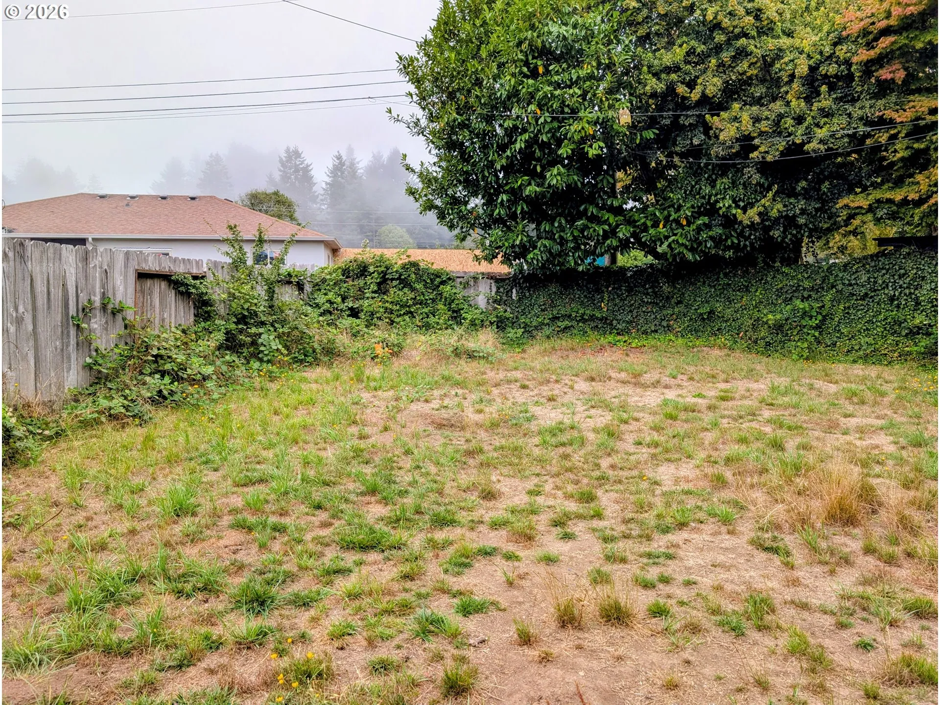 Backyard-Fenced