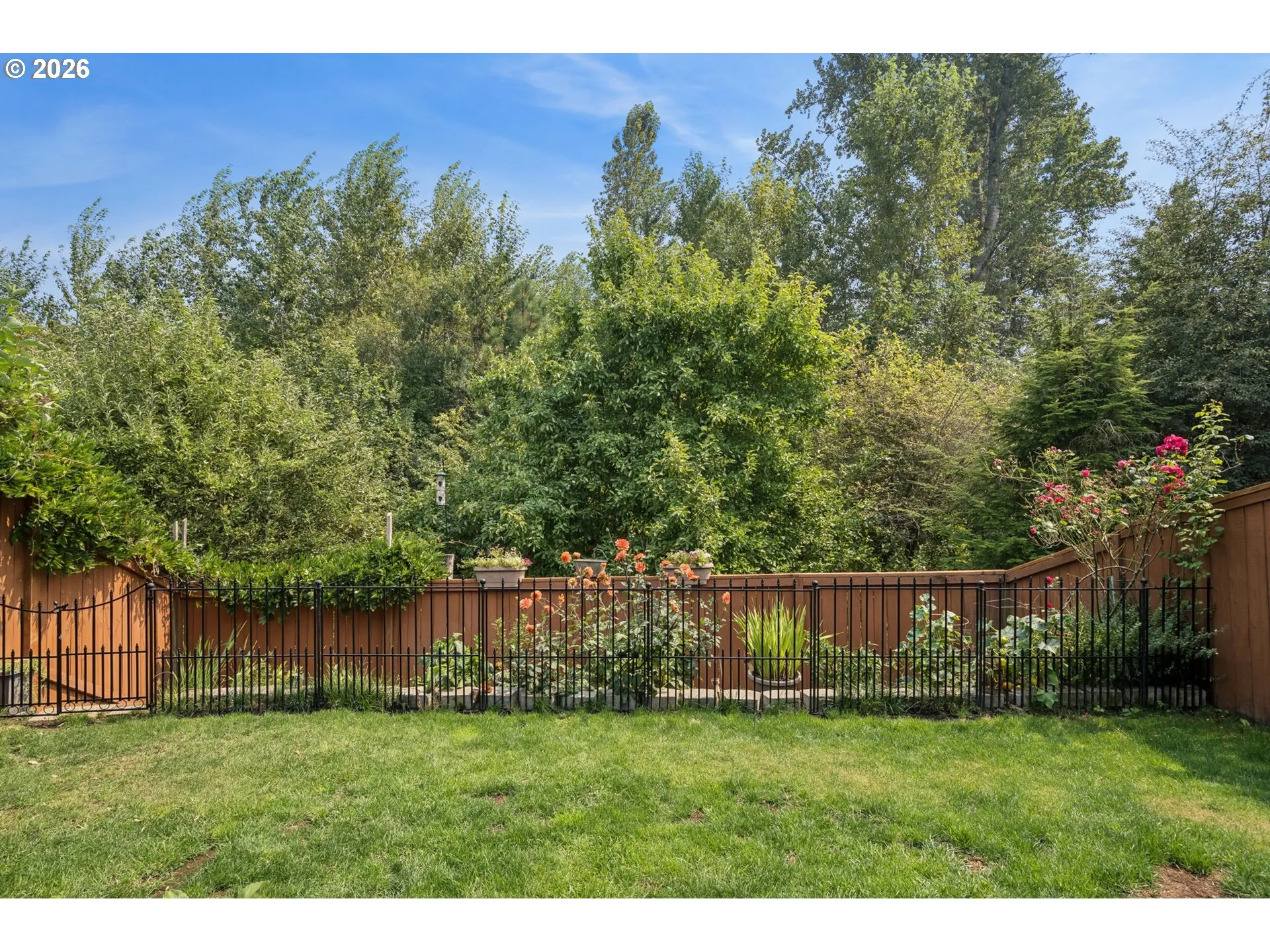 Backyard-Fenced