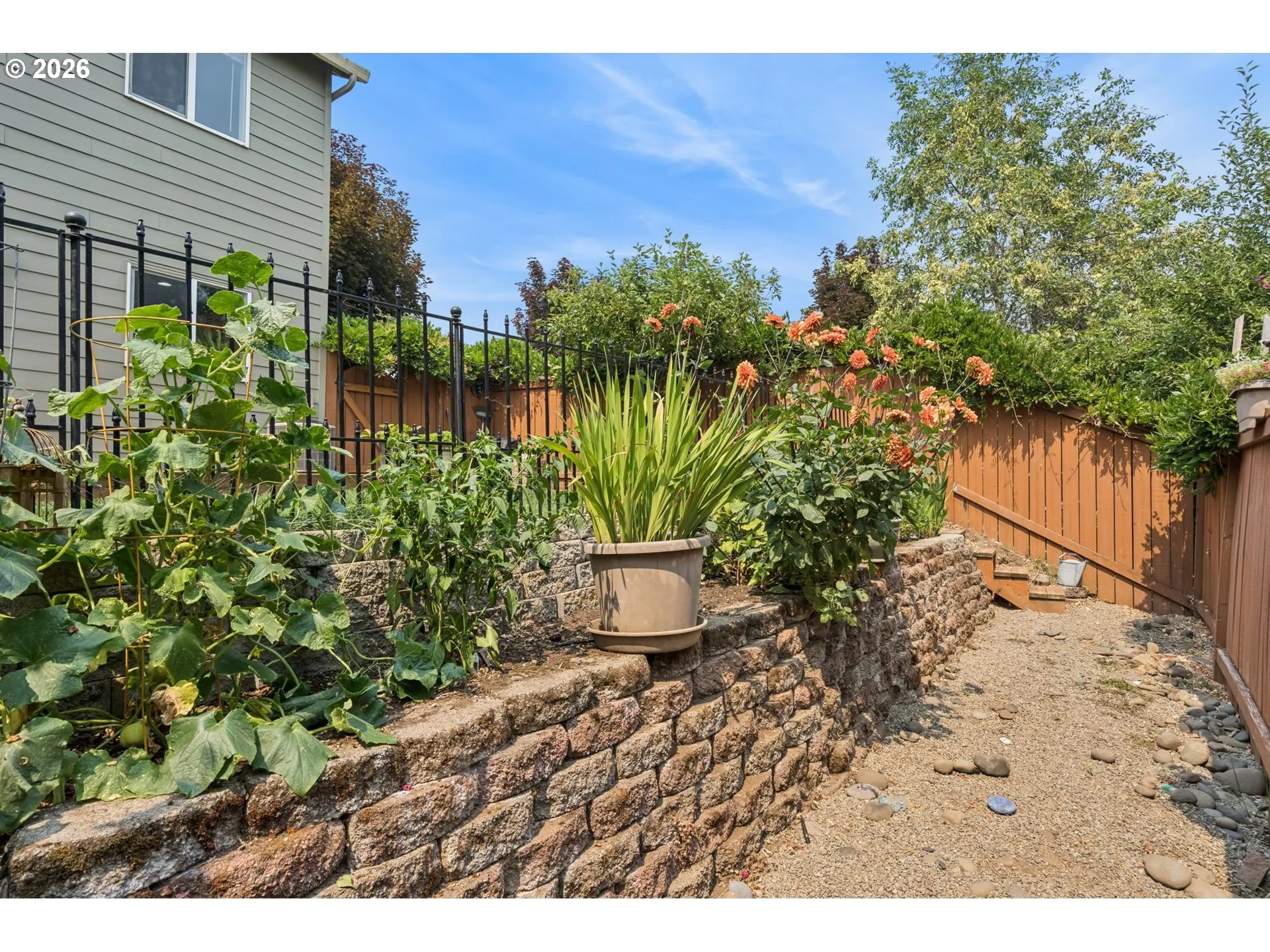 Backyard-Fenced