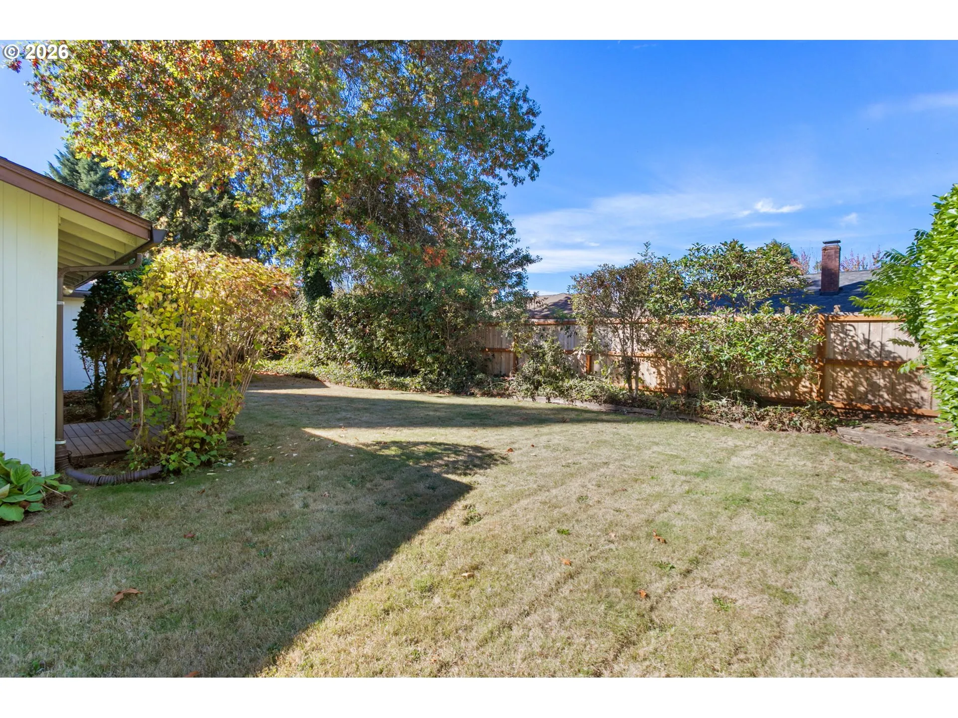Backyard