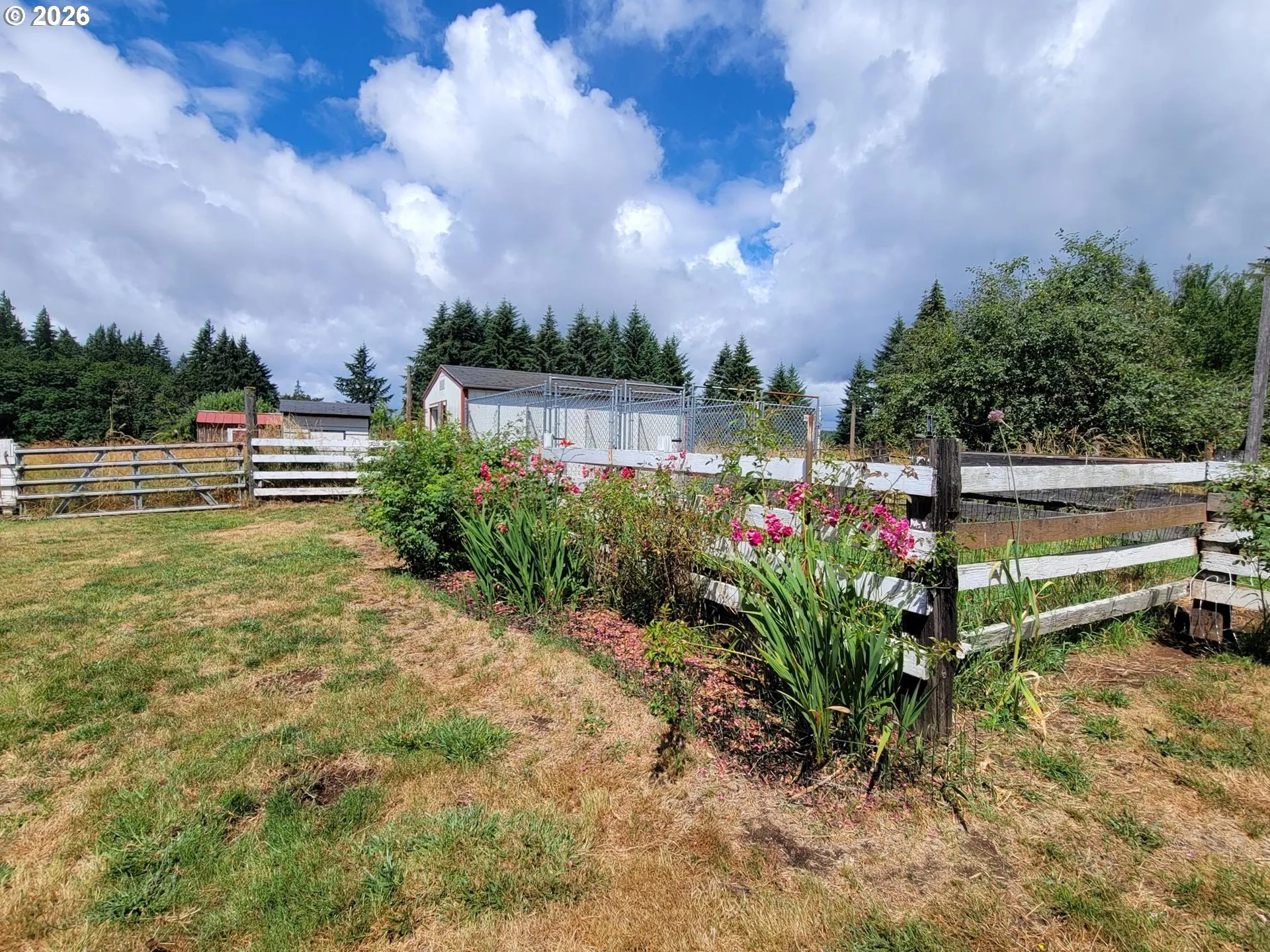 Utility Shed