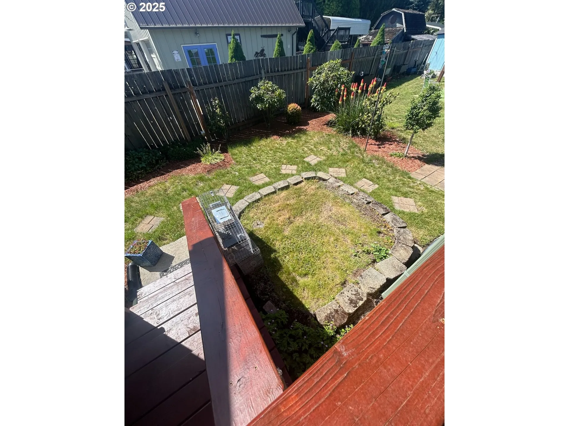Backyard