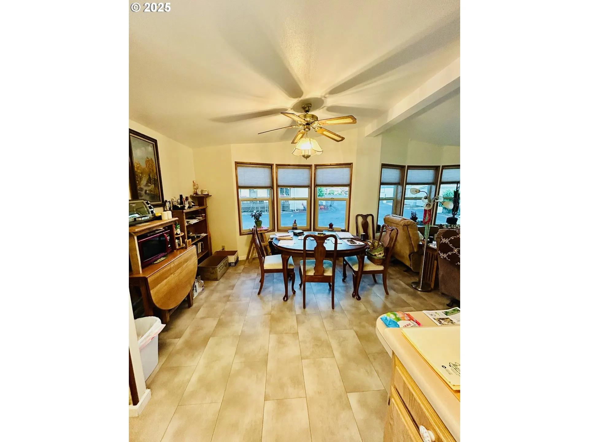 Kitchen/Dining Room-Ceiling Fan