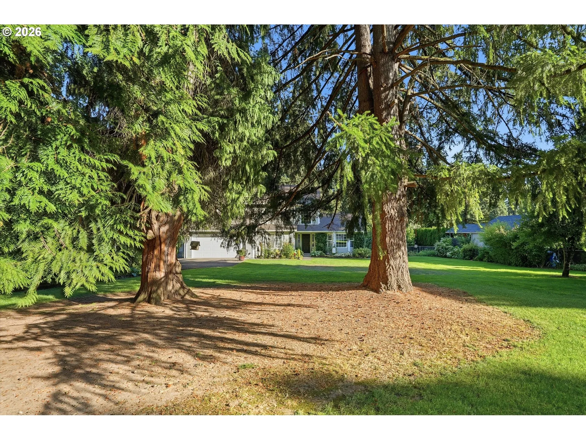 Front Yard-View From