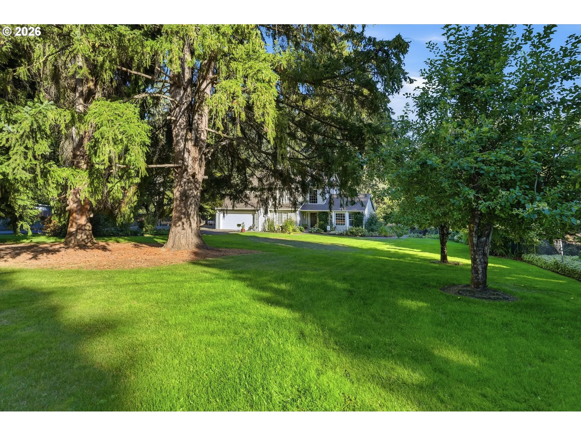 Front Yard