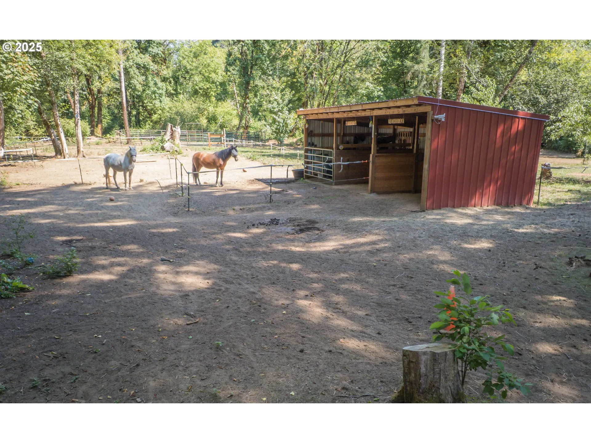 Stable